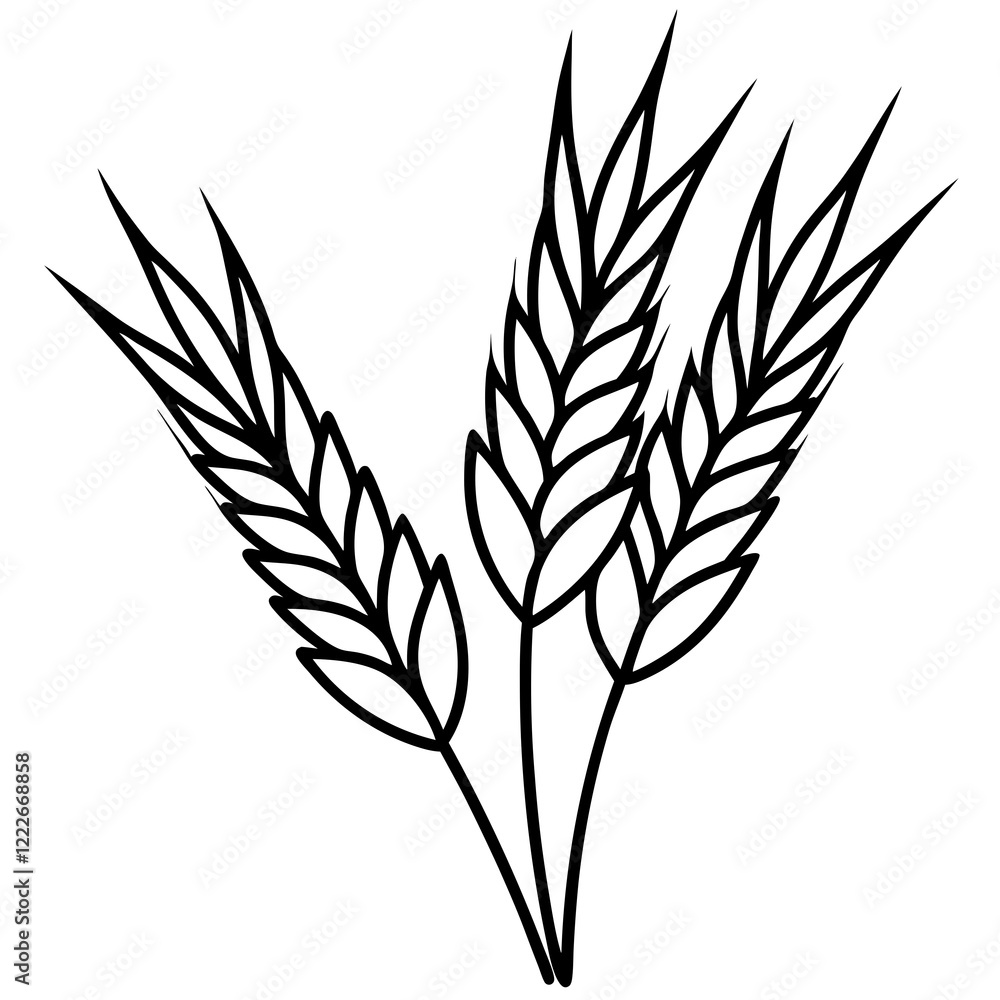 Barley Outline Vector Illustration Barley Outline Vector Illustration