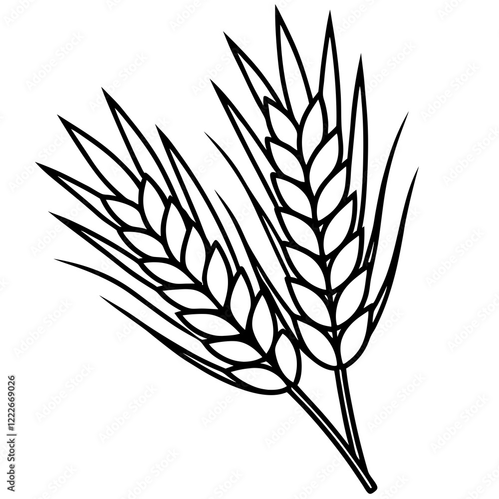 Barley Outline Vector Illustration Barley Outline Vector Illustration