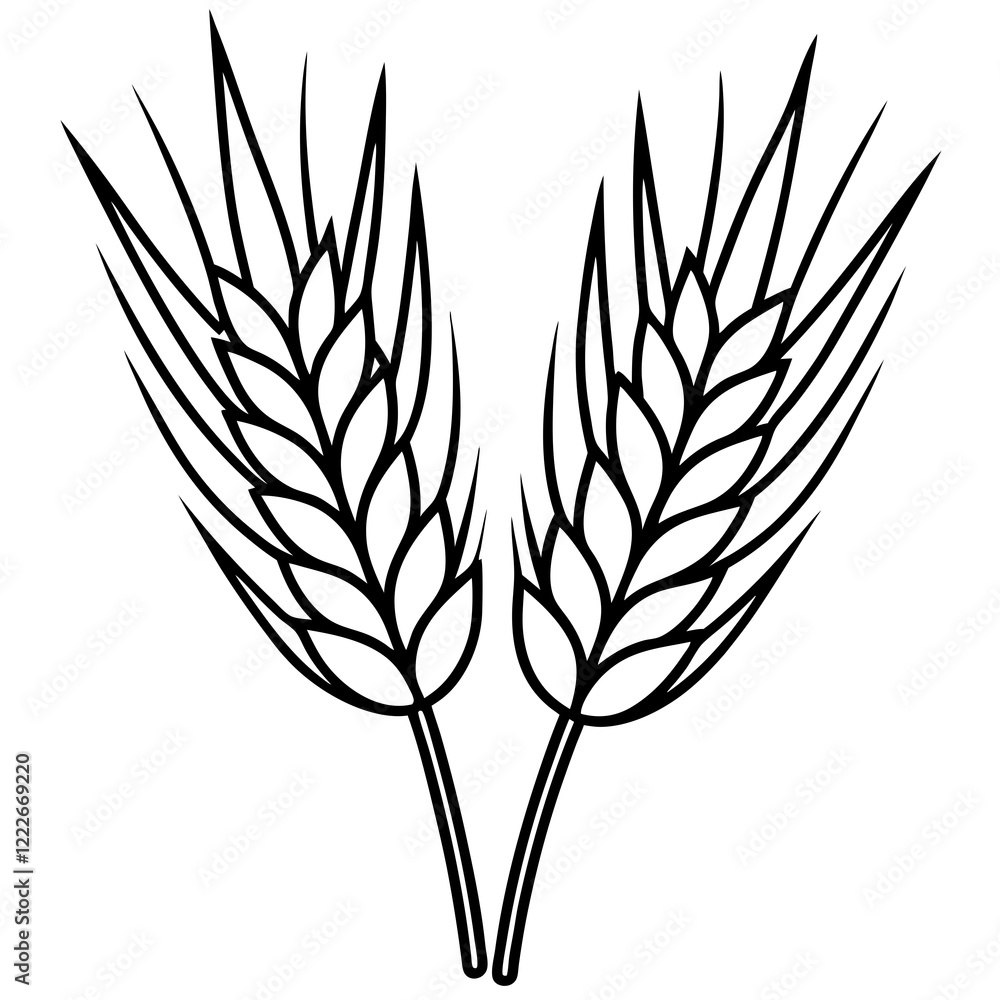 Barley Outline Vector Illustration Barley Outline Vector Illustration