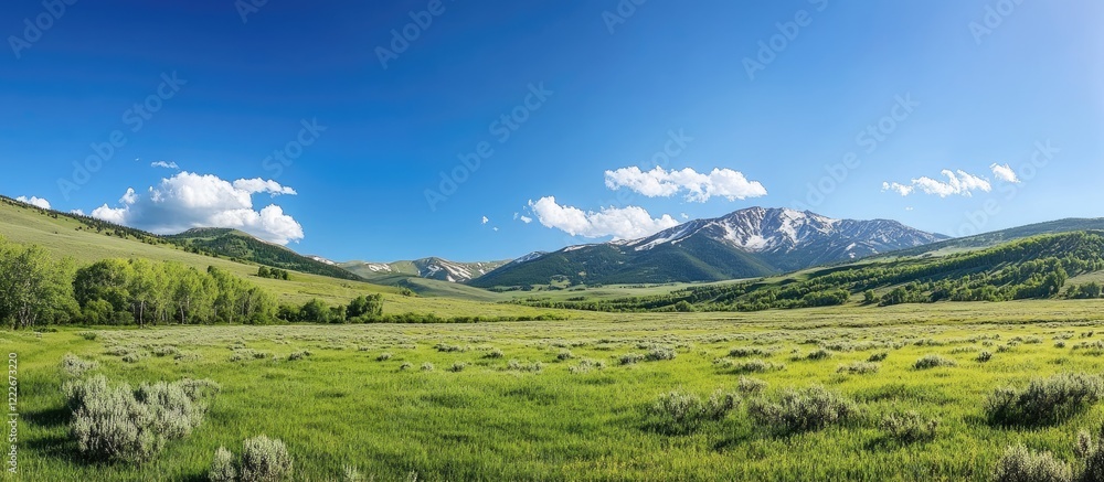 Vast spring green landscape with lush meadows and scattered shrubs under a bright blue sky and soft cloud formations in the background. Vast spring green landscape with lush meadows and scattered shrubs under a bright blue sky and soft cloud formations in the background.