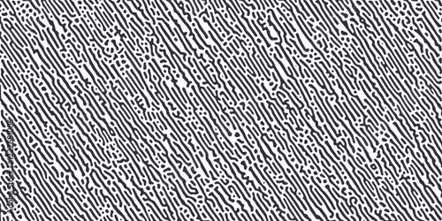 Abstract rays  lines on white background. Chaotic lines texture. Pattern with labirint effect.