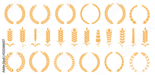 Wheat spike and rye ears collection. Set of yellow wheat icon. Barley spike or corn ear collection