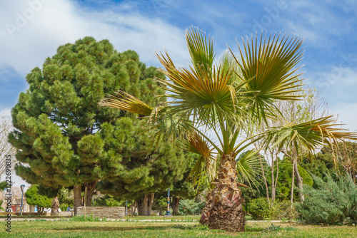 Foto Spring landscape in the city park Melat, Kashan, Iran