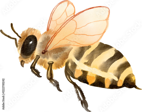 Obraz na płótnie watercolor bee