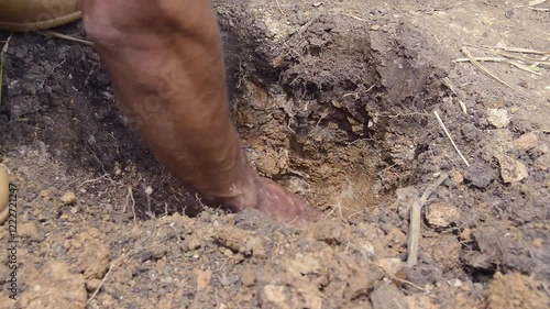 A farmer carefully plants a young tree in degraded tropical soil, contributing to reforestation efforts in vulnerable ecosystems affected by climate change. The restoration of native forests is good.