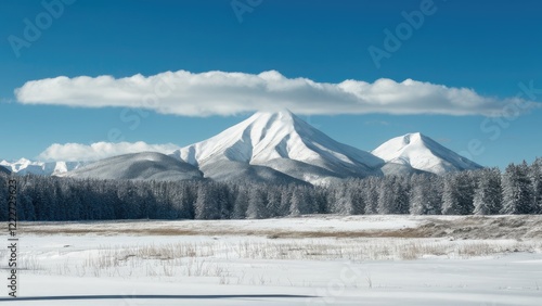 Snow-covered mountains under bright blue skies with fluffy clouds, foreground of a serene white landscape bordered by evergreen trees. photo