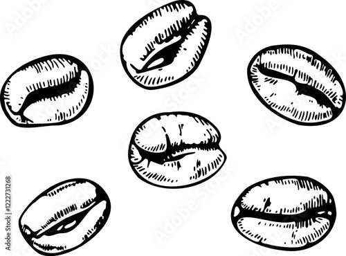 Single coffee beans minimalist illustration, black and white line art