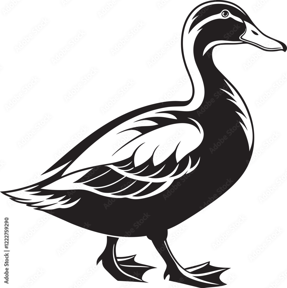 Fototapeta premium Silhouette of a Duck