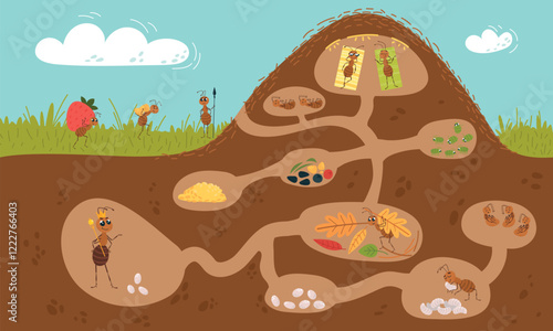 Cartoon anthill illustration. Funny ants underground working and resting. Cartoon anthill illustration, seasonal insects work process classy vector scene