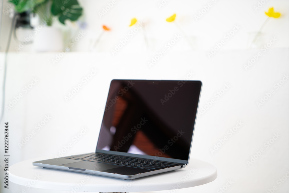 MacBook pro / MacBook Air for professional work