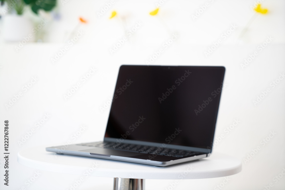 MacBook pro / MacBook Air for professional work