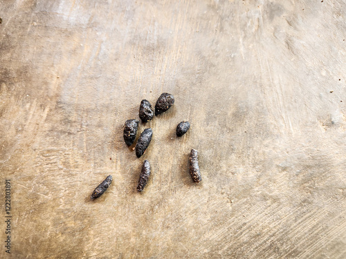 Rat droppings on the ground, unhygienic droppings.