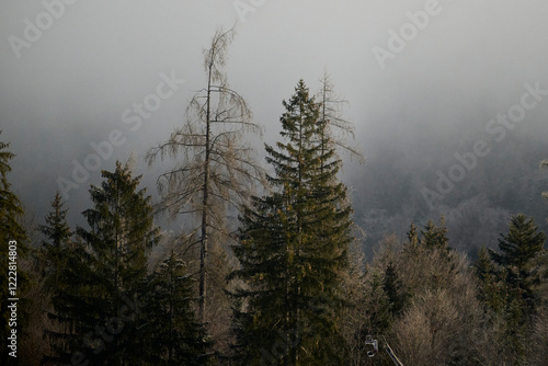 Day Light. Beautiful winter landscape on the mountains in Ruhpolding in Bavaria, Germany photo