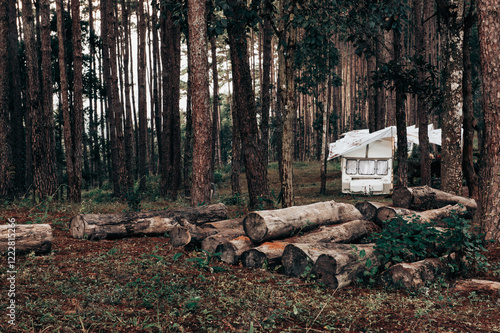 Group of white RVs are parked in a forest. The scene is dark and moody, with the trees casting shadows on the ground. The RVs are all facing the same direction, creating a sense of unity.