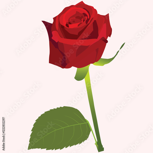 Realistic Natural Rose Vector Illustration photo