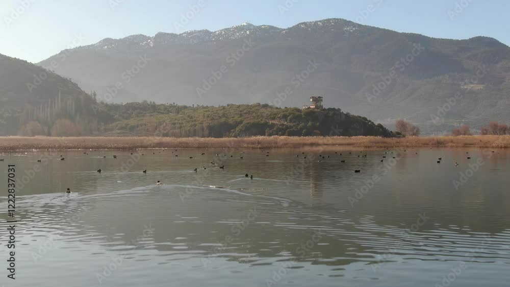 Ducks swimming in the lake. Snowy mountain landscape. Lake Golhisar, Turkey. Ducks swimming in the lake. Snowy mountain landscape. Lake Golhisar, Turkey.