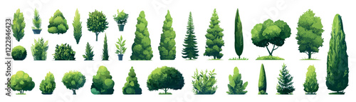 decorative green trees set. park garden plants, decoration environment summer shrub coniferous deciduous thuja spruce pot landscape design vector illustration