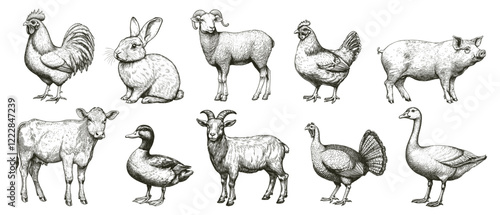 domestic cattle drawing set. rooster chicken rabbit hare horse goat pig sheep duck goose turkey cow donkey engraving monochrome, farming milk meat fur agriculture vector illustration