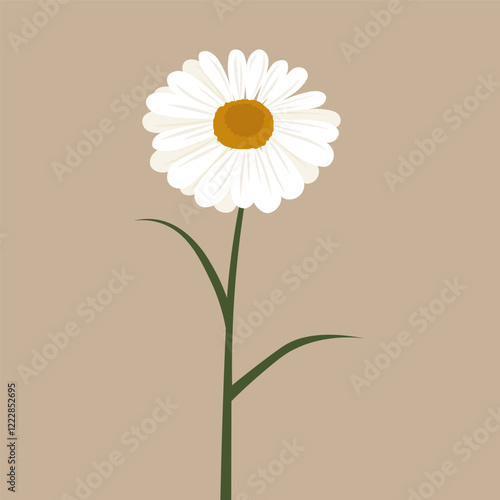camomile on a brown background