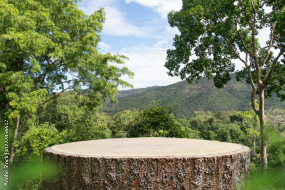 Wood stump podium table top with outdoors in tropical forest nature landscape background.product pedestal wooden stand display,healthy life or eco concept. Wood stump podium table top with outdoors in tropical forest nature landscape background.product pedestal wooden stand display,healthy life or eco concept.