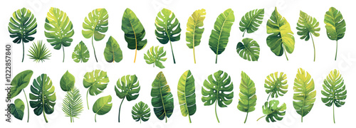 tropical leaves set cartoon. monstera palm banana green leaf, plant tropics exotic element decoration design summer vector illustration