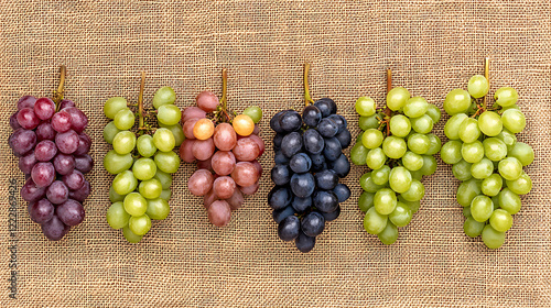 Grape are healthy food. And it is a useful fruit. photo