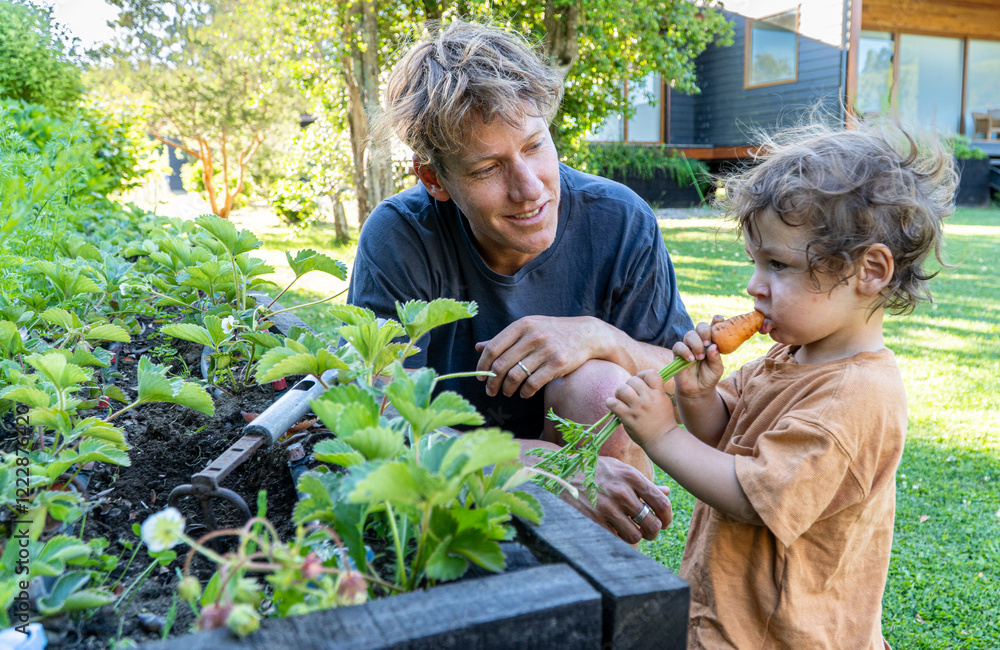 Family moments in the garden as a father and his son pick homegrown vegetables, creating memories rooted in nature and sustainable practices.