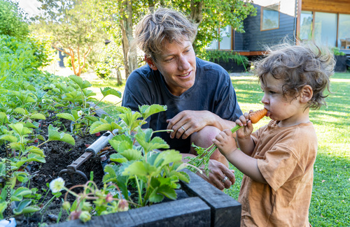 Obraz na płótnie Family moments in the garden as a father and his son pick homegrown vegetables, creating memories rooted in nature and sustainable practices. w salonie