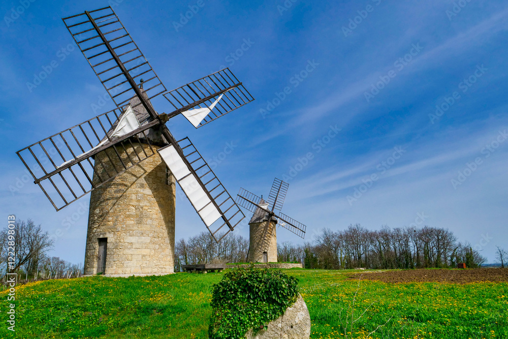 Obraz premium View of moulins de Calon, Montagne Saint Emilion, France