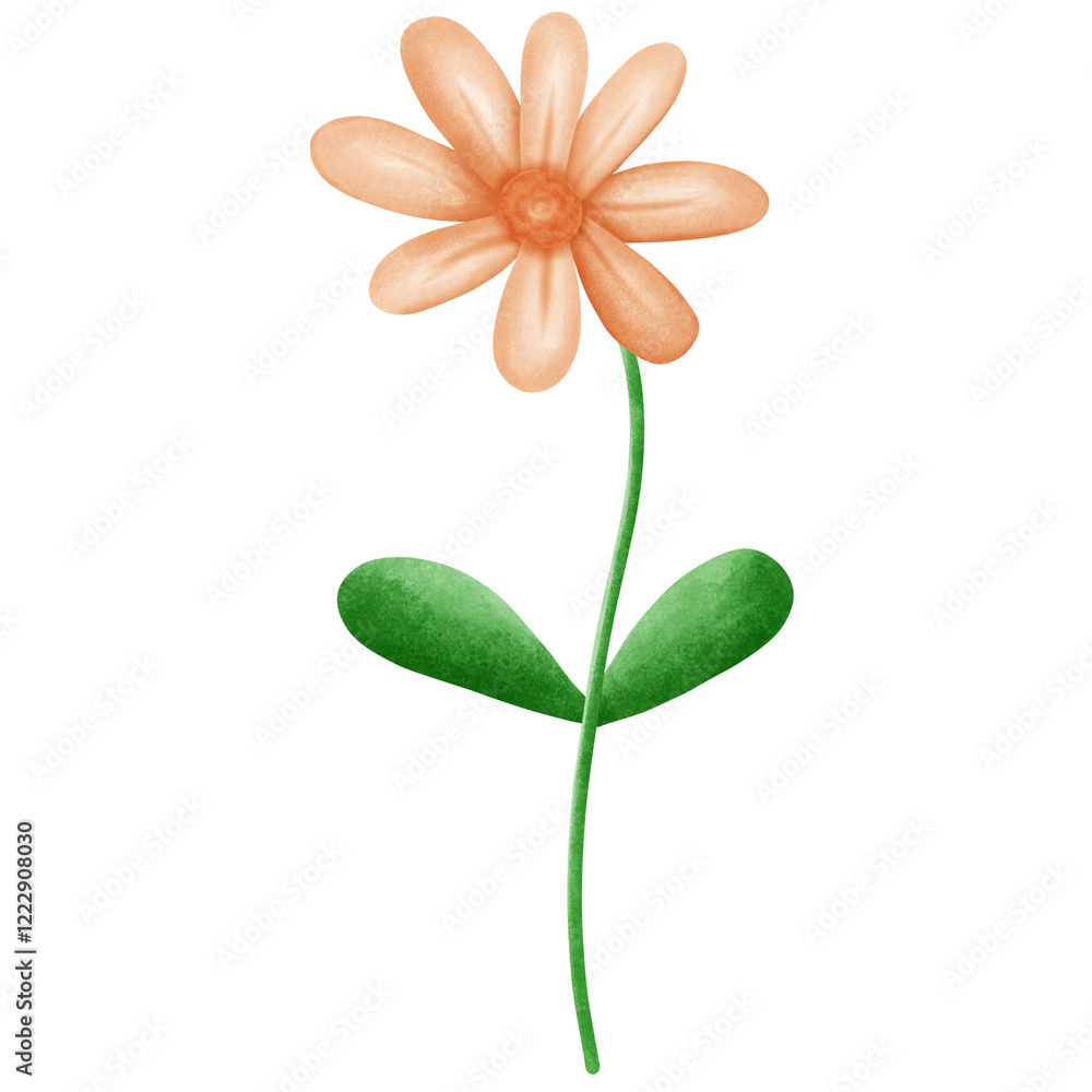 Obraz premium flower