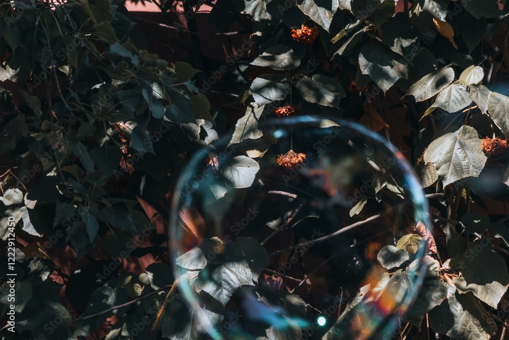 Fototapeta premium Bubbles Reflecting Light in a Tranquil Forest