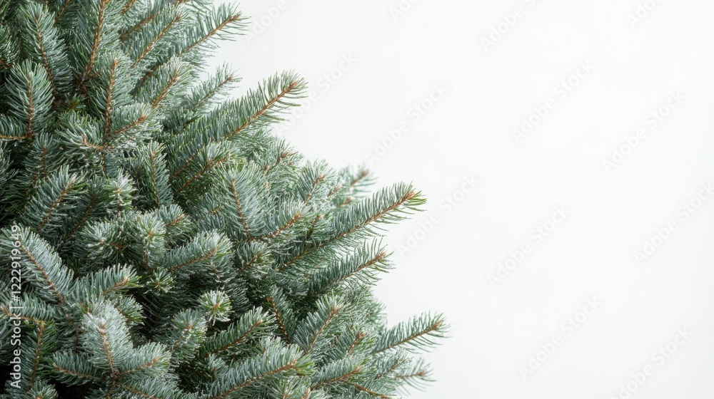 Christmas tree detail with blank space for text festive holiday design seasonal greeting template for advertisements and promotions Christmas tree detail with blank space for text festive holiday design seasonal greeting template for advertisements and promotions