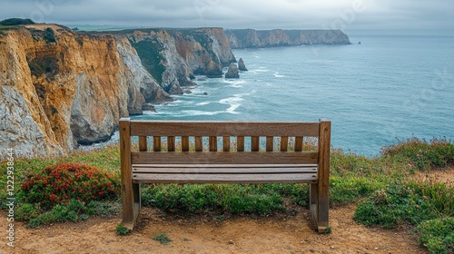 Beautiful coastline landscape