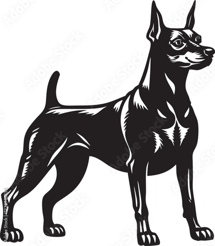 American Hairless Terrier Silhouette in Black and White