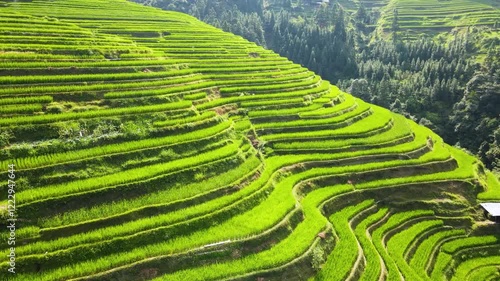 Aerial Footage of Jiabang Rice Terraces in Guizhou photo