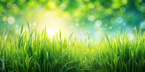 Lush green grass swaying in gentle spring breeze, scenery, fresh spring