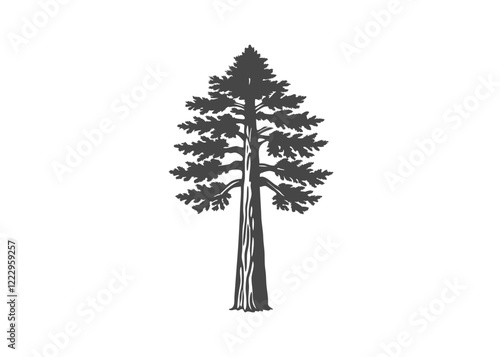 Sequoia is the tallest tree on earth Isolated vector illustration