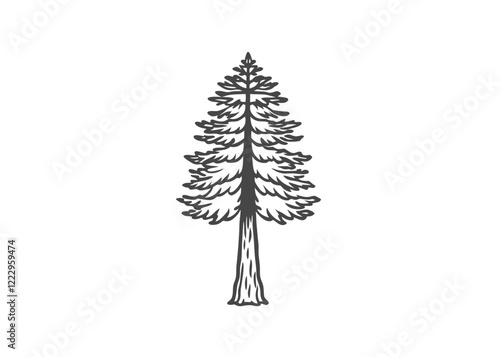 Sequoia is the tallest tree on earth Isolated vector illustration