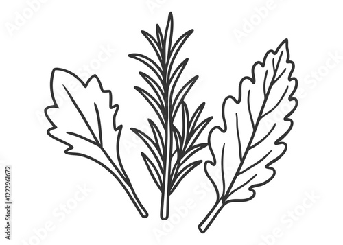Green dill herb tasty spice ingredient vector illustration
