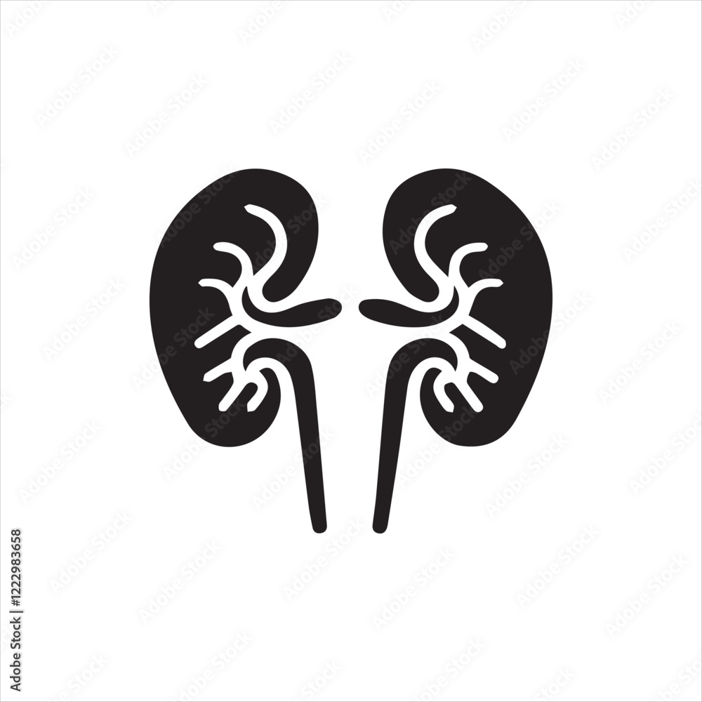 Kidney icon Silhoutee isolated on white background Kidney icon Silhoutee isolated on white background