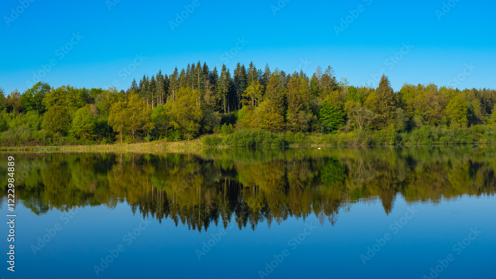 Wald spiegelt sich in einem See