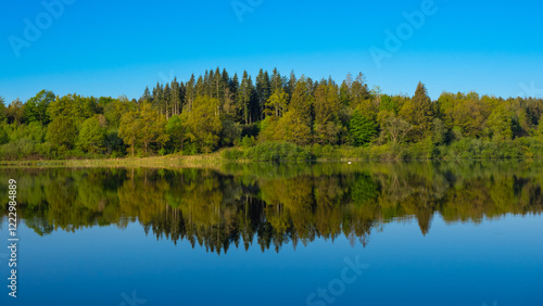 Obraz na płótnie Wald spiegelt sich in einem See w salonie