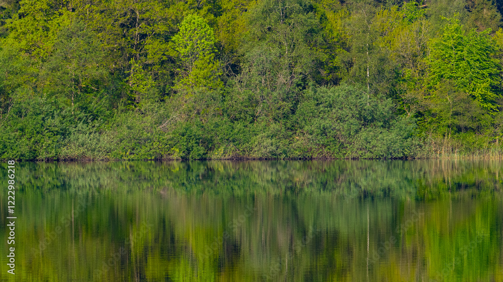Waldlandschaft spiegelt sich in einem See