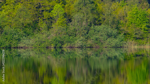 Obraz na płótnie Waldlandschaft spiegelt sich in einem See w salonie