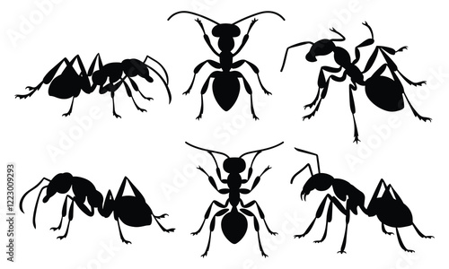 Set of various ant silhouettes. isolated vector on white background.