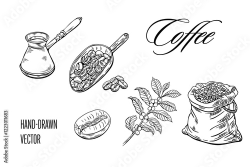 Engraving, coffee sketch, vector illustration linear. Package with coffee, beans, branch, coffee turk