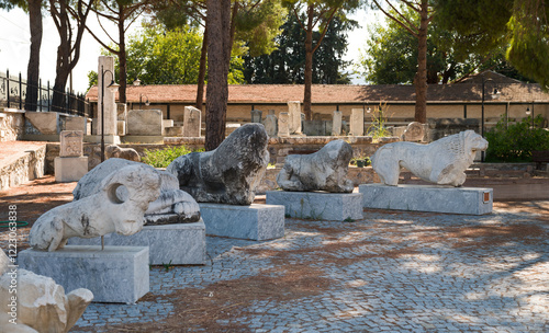 Didim, Aydın, Turkey - 26.09.2024: Historical artefacts in the outer garden of the Miletus Archaeological Museum photo