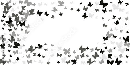Magic black butterflies isolated vector background. Spring ornate insects. Fa...
