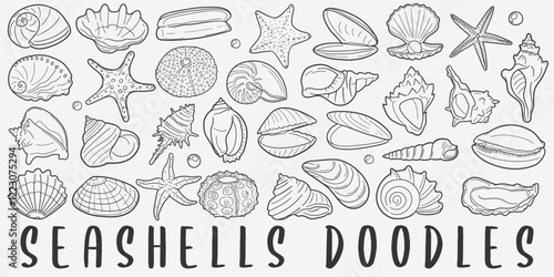 Seashell Doodle Icons. Hand Made Line Art. Beach Animal Shell Clipart Logotype Symbol Design.