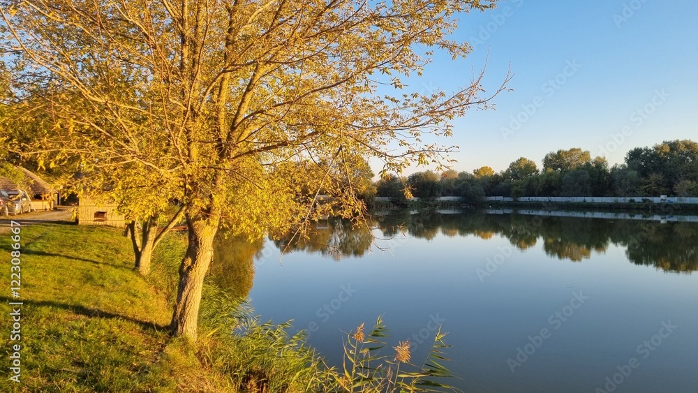 Fototapeta premium Tree with golden autumn leaves by a calm lake at sunset. Peaceful nature landscape with reflections on the water. Seasonal and scenic concept for design and print